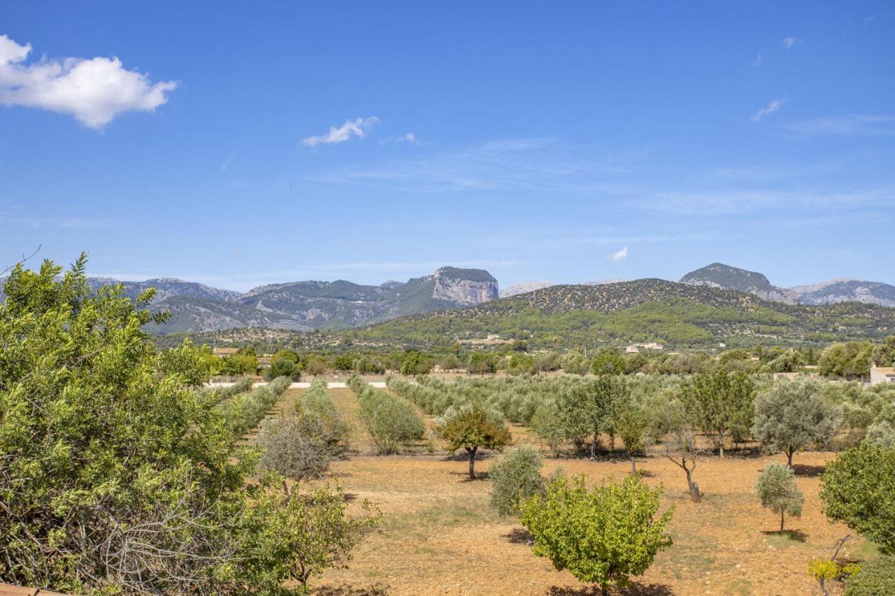 Villa Es Triquet Family Binissalem Buitenkant foto